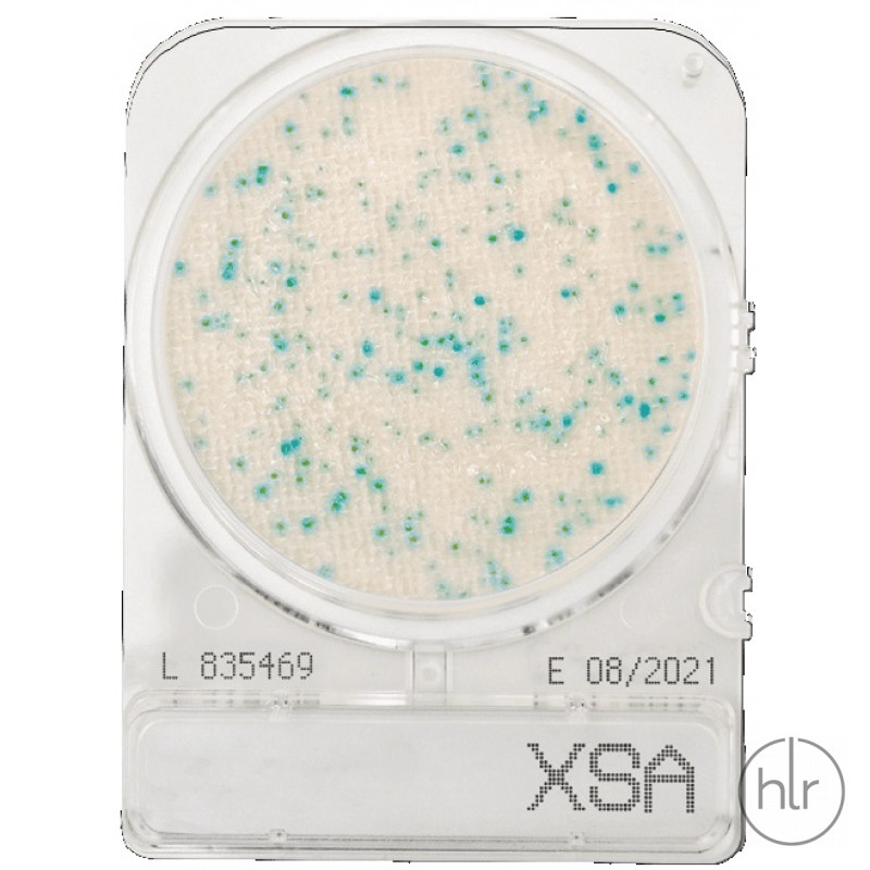Середовище мікробіологічне Compact Dry XSA Staphylococcus aureus 40 шт/уп